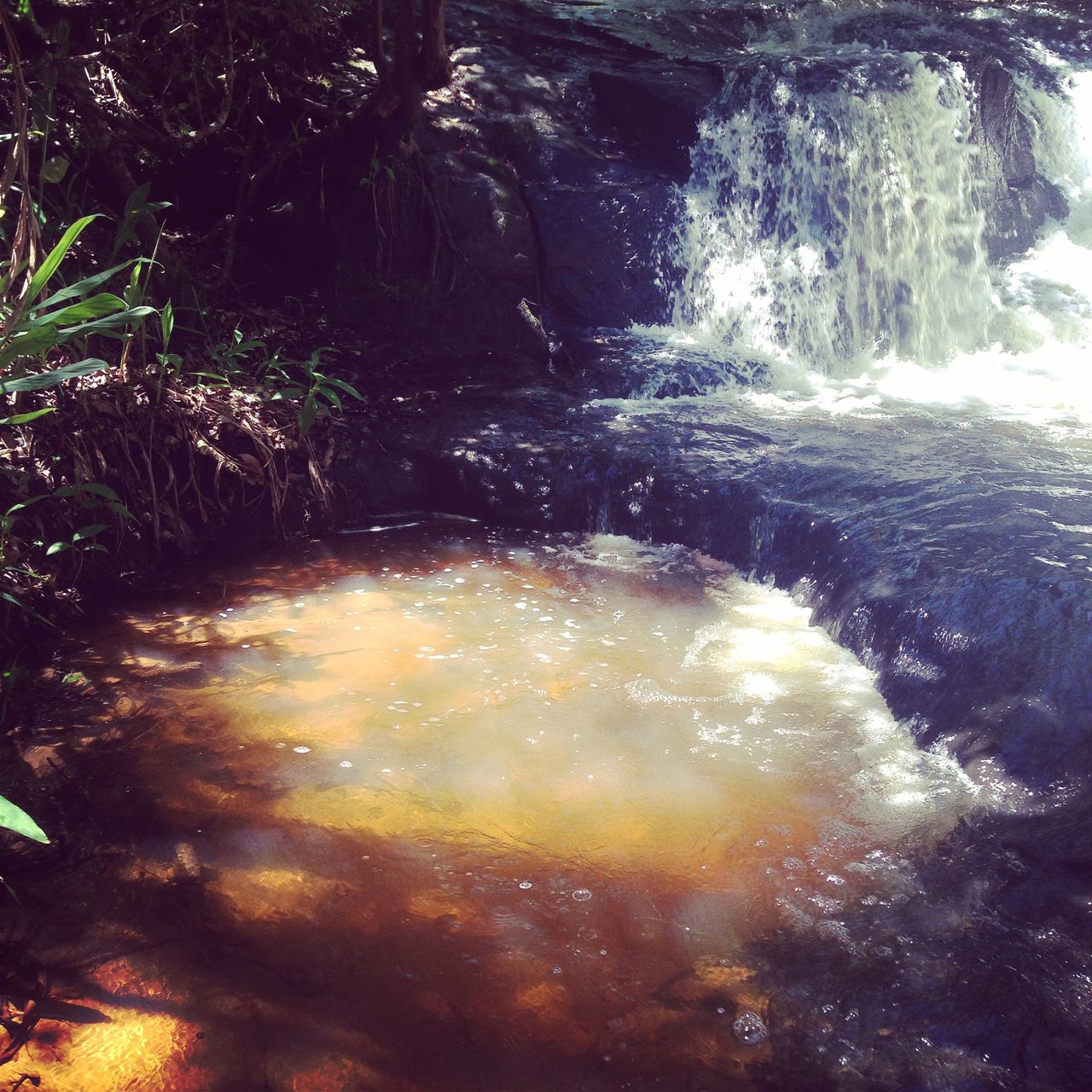 Cachoeira pequena formando um poço dourado pela luz do sol