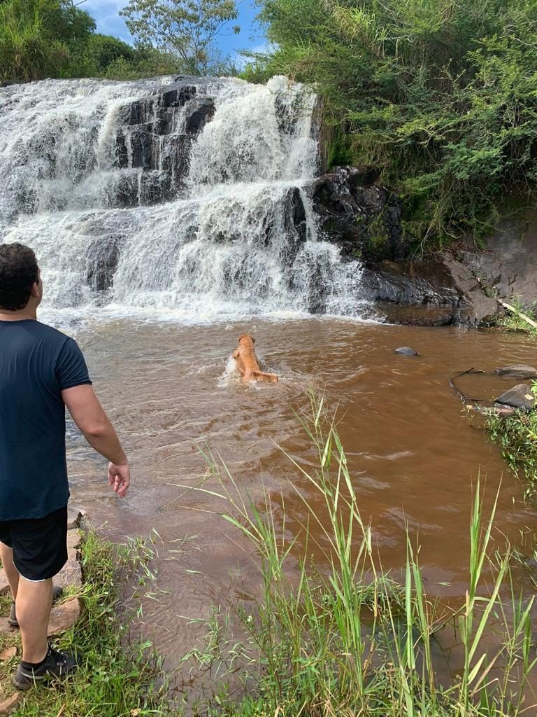 Pessoa caminhando em direção à cachoeira com o cachorro na água