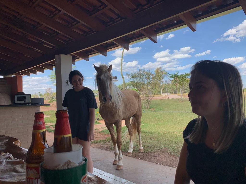 Cavalo palomino chegando na varanda perto de duas pessoas